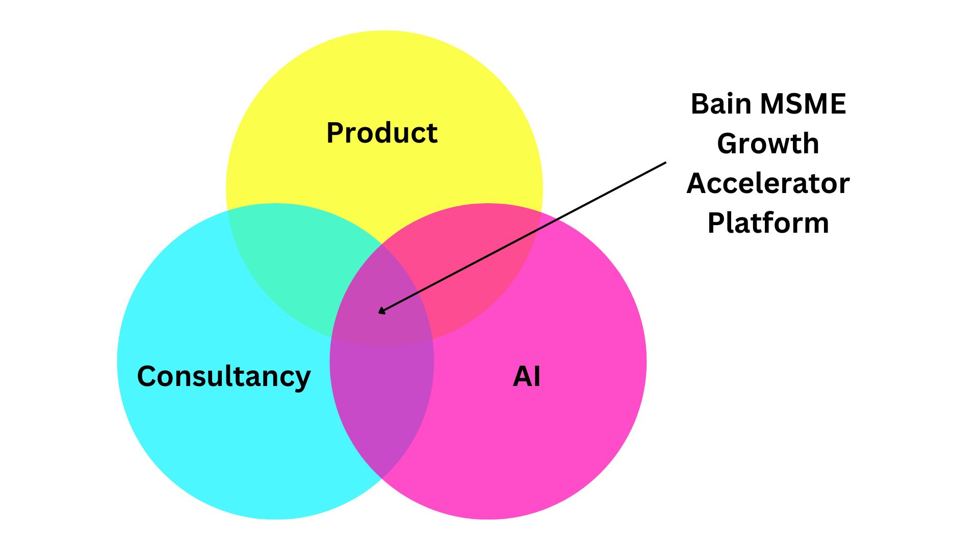 Bain & Company - MSME Growth Accelerator Platform (Proposed)